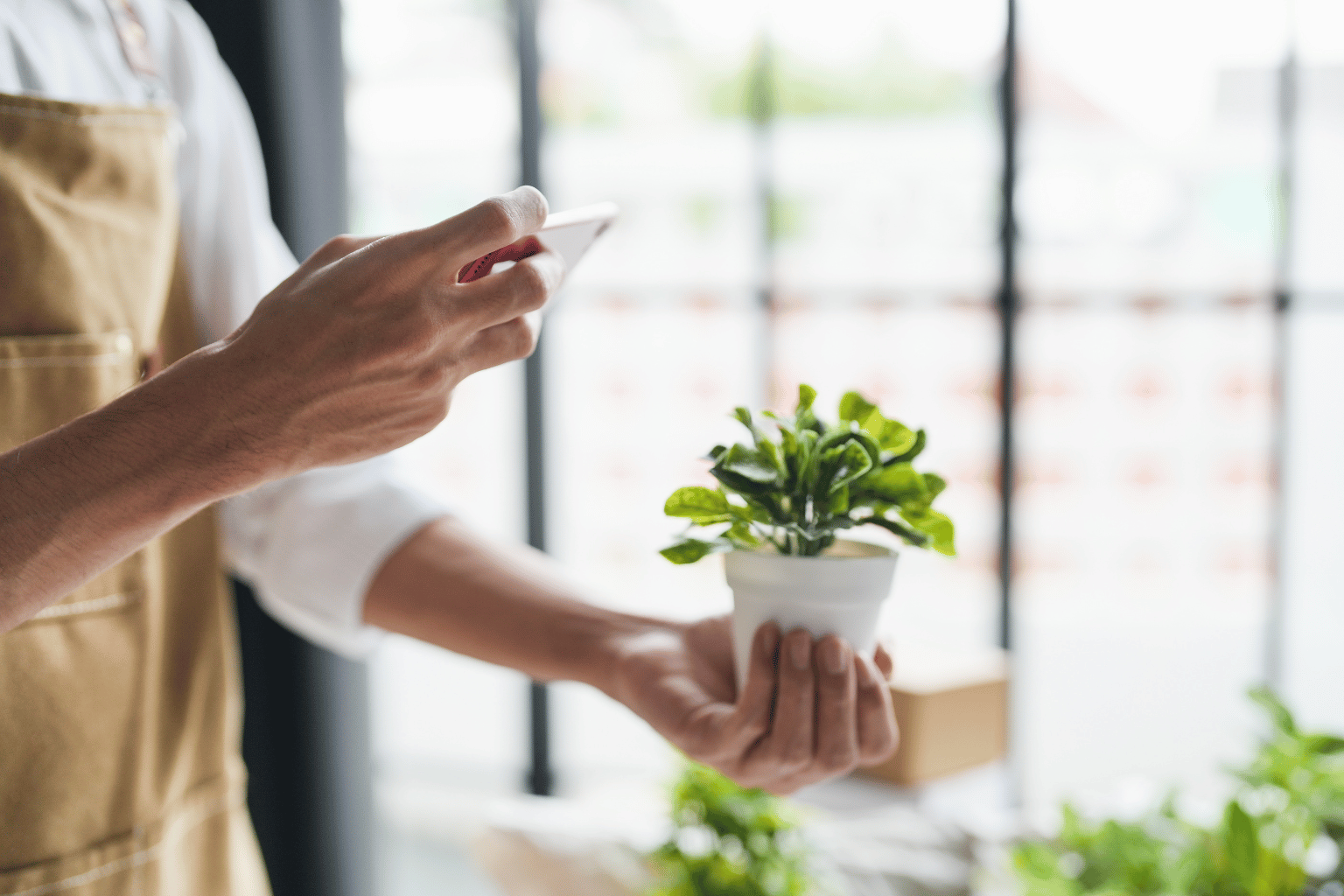 26 načina da zaradiš novac – ali većina ljudi nikad ne krene